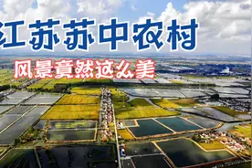 航拍江苏苏中地区海安的农村，一到秋天，原来海安的农村这么美！视频封面