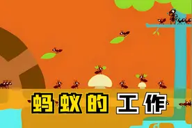 蚂蚁，原来这么聪明，发明了一套科学的工作方式视频封面