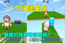 迷你世界：一个汉堡生存！给汉堡钱才能爆装备？我能打败佩奇吗？视频封面