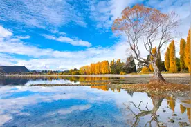 九嶷山上白云飞，帝子乘风下翠微。——毛泽东视频封面