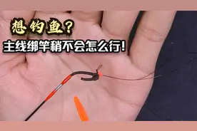 想学钓鱼？不会绑主线结连接竿稍怎么行！看垂钓老手如何绑的