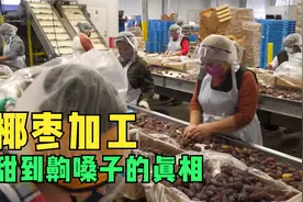 椰枣的种植和加工，中东土豪超爱吃的沙漠面包视频封面