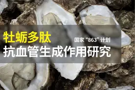 牡蛎多肽全新实验！抗血管生成作用！国家863计划！懂科学更健康视频封面