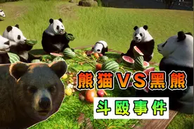 动物园之星03：国宝熊猫VS大黑熊，把这两混养，会发生斗殴事件吗