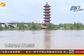 常德安乡县：防汛大堤400多公里，松滋河持续水位超警18天视频封面