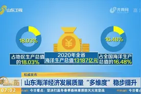 2020年山东海洋生产总值13187亿元，占全国海洋生产总值的16.48%视频封面