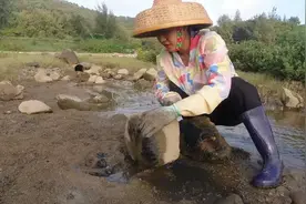 红树林旁边看到一块大石，阿渔妹搬开后吓一跳，里面藏着一家三口视频封面