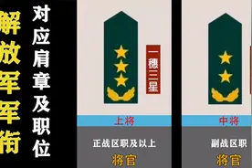 解放军军衔对应肩章及职位视频封面