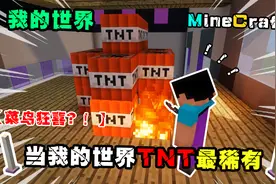 【MC】当我的世界TNT变得稀有！【菜鸟狂喜？！】