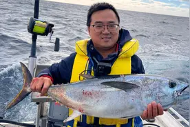沉浸式拖钓南部蓝鳍金枪鱼之旅：路亚海钓蓝鳍金枪鱼和长鳍金枪鱼视频封面