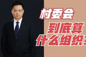 村民委员会到底是什么组织？是基层政府机构吗？视频封面