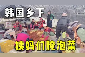 韩国婆婆凌晨4点去乡下腌泡菜，现场热火朝天，泡菜堆成山了！视频封面