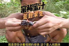 儿童版荒野求生视频封面