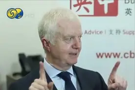 英商界:未来中国中产阶级消费者数量将增至3.4亿,超美国人口总数视频封面