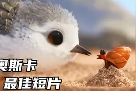 皮克斯耗时3年，制作的6分钟短片，极具教育意义！《鹬》视频封面