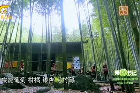 美丽灵渠岸边，兴安传统优势农产品：罗汉果、银杏、葡萄、柑橘！视频封面