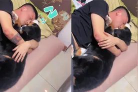 老公醉酒回家搂着狗睡，狗挣扎一下反被搂更紧，妻子：当成我了？视频封面