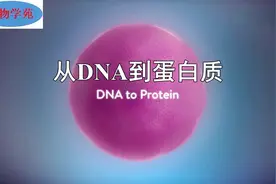 从DNA到蛋白质视频封面
