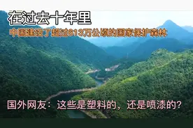 我国建设了超613万公顷的保护森林，国外网友:塑料的？视频封面