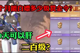 CF手游：一个月能肝多少级赏金令呢！300级？视频封面