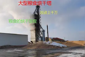 你知道农村的粮食烘干塔是怎么工作的吗？原来运行过程这么复杂