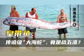 横扫海底的巨型猛兽？其实只是个不擅长游泳的弱鸡