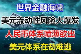 世界金融海啸，美元流动性风险大爆发，人民币体系喷薄欲出视频封面