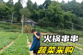 乡下购蔬菜：乡下的蔬菜清洗时只能一根一根洗，因为顾客吃到过虫视频封面