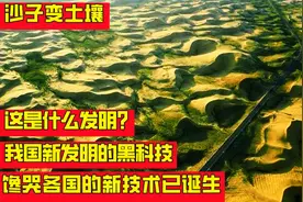 沙子为什么能变成土壤？我国发明的一种黑科技，馋哭各国？