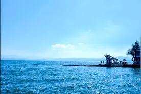 让思绪随美丽的花海音乐散去吧，舒缓轻柔的轻音乐视频封面