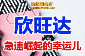 下一个宁德时代？消费锂电池龙头欣旺达，急速崛起的动力电池巨头视频封面