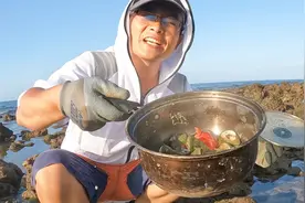 退大潮了，带口锅去赶海，抓到海鲜丢锅里直接煮，鲜美无比视频封面