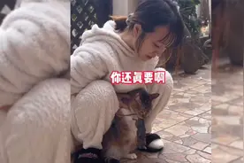 小猫咪叼老鼠给主人，主人居然要了！ 还换给猫咪小鱼干吃视频封面