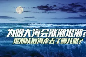 为何大海会涨潮退潮？退潮以后海水去哪了？看完长知识了视频封面