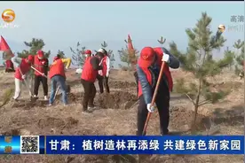 甘肃：植树造林再添绿 共建绿色新家园视频封面