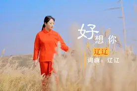 辽辽新创一首《好想你》一听就上瘾！视频封面