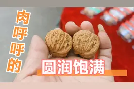 麻核桃，小众乾隆磨，桩型自然整体圆润，大家欣赏看看视频封面