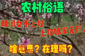 农村俗语“清明闺女不上坟，上坟娘家无后人”，啥意思？在理吗？视频封面