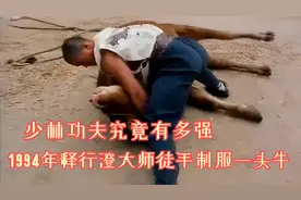 谁说中国没有真功夫！1994年少林寺的武僧给你上一课，太珍贵了！