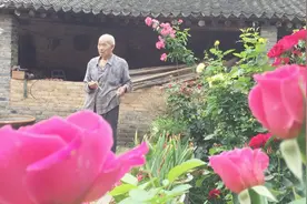 山西农村8旬老人喜欢养花，农家小院像花园，看老人生活啥样视频封面