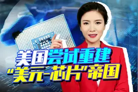 美国政府收集世界各大芯片核心数据，尝试重建“美元-芯片”帝国视频封面
