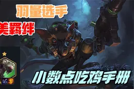 云顶之弈：小数点吃鸡手册3 老鼠拼多多 羽量选手 完美羁绊！视频封面