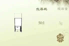 【中华茶道】认识白茶——白牡丹视频封面