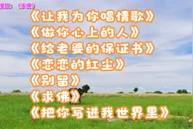 让我为你唱情歌，做你心上的人，给老婆的保证书，恋恋的红尘
