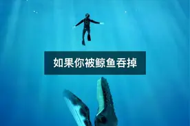 如果你突然被鲸鱼吞掉，会发生什么？