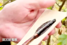 罕见！四代单传的狗皮膏药，自采草药熬制古老手法世代传承视频封面