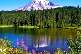 8201-8400单词视频封面