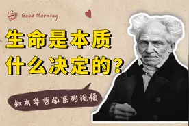 哲学家叔本华说：人生的本质就是痛苦，所有的幸福都是短暂的