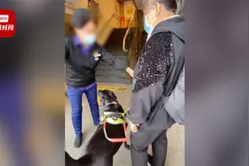 网曝北京一麦当劳拒绝盲人携导盲犬进入 经理：当时已让进店