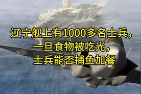 辽宁舰上有1000多名士兵，一旦食物被吃光，士兵能否捕鱼加餐视频封面